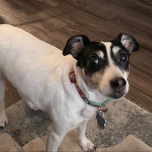 Meet your Posher, Melanie